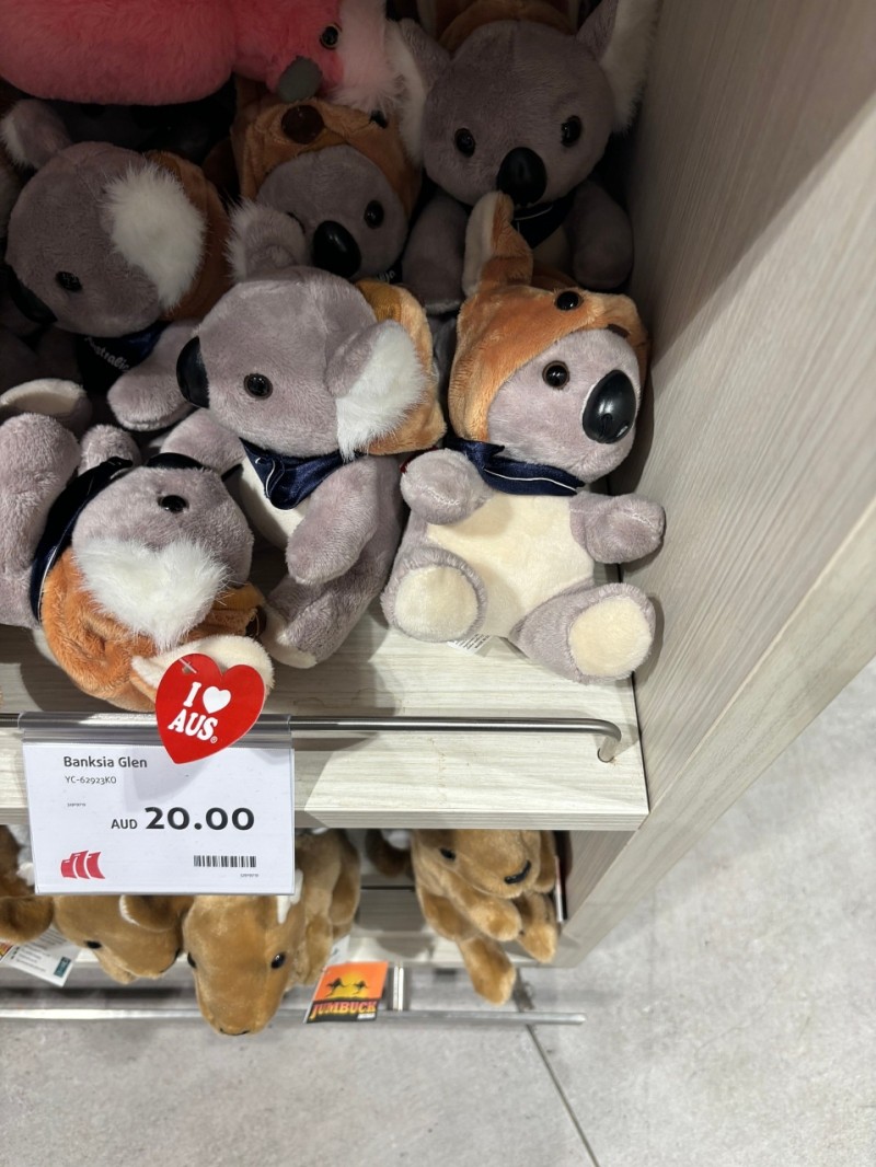 005904abf7d576311ad51a173850f585_1718782286_3297.jpeg